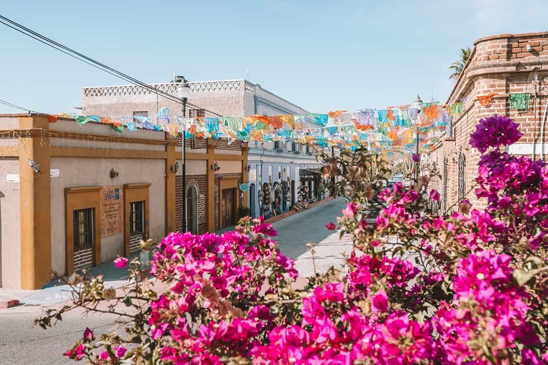 Todos Santos Transportation_12